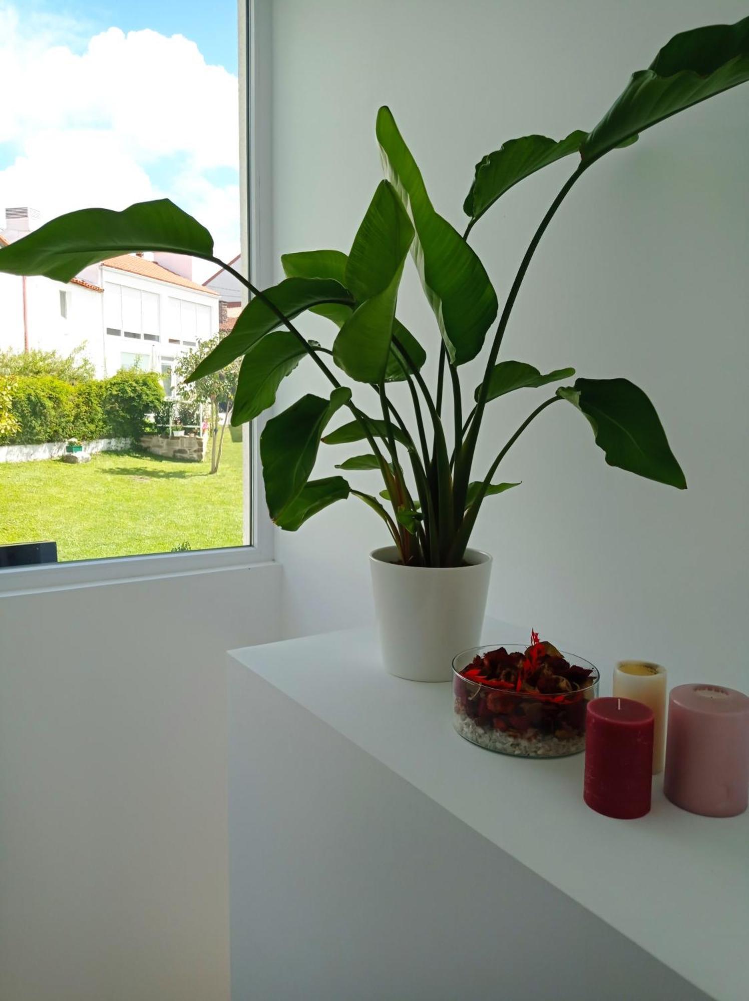 Casas Turisticas Lar Jardin - Parking Privado Santiago de Compostela Ngoại thất bức ảnh